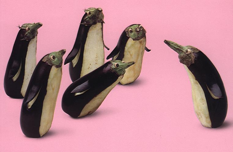 brinjal penguin