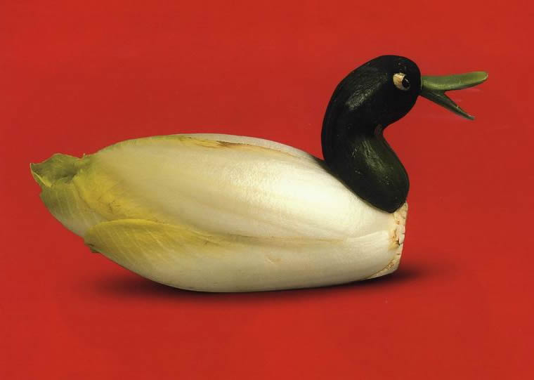 vegetable duck