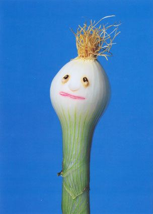 spring onion head