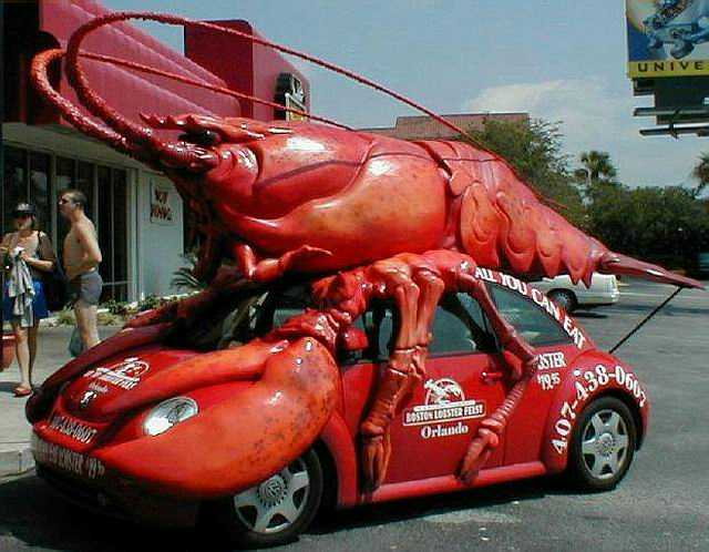 Lobster beetle car