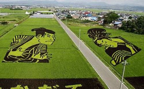 Japanese rice field art