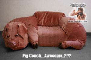 pig couch piggy