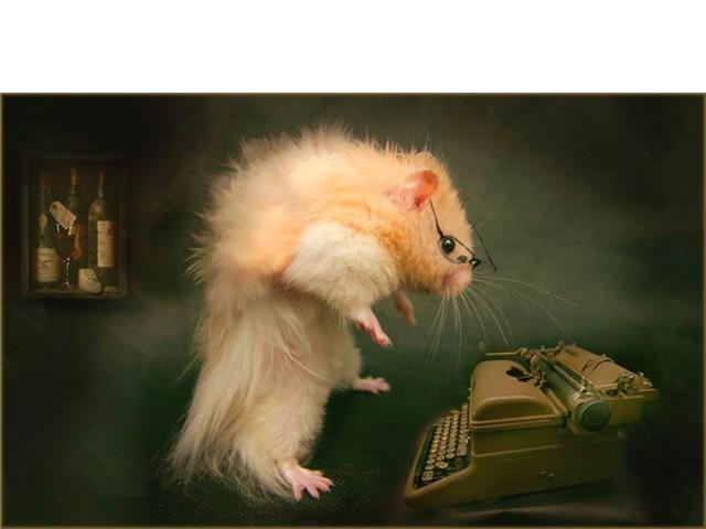 The expert secretary, Mrs. Mouse